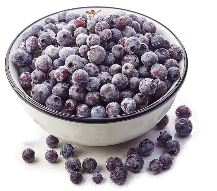 bowl--blueberry